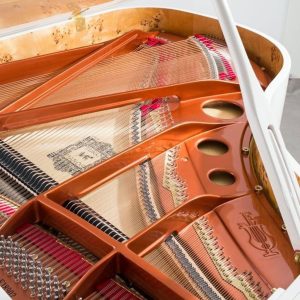 Grand Pianos